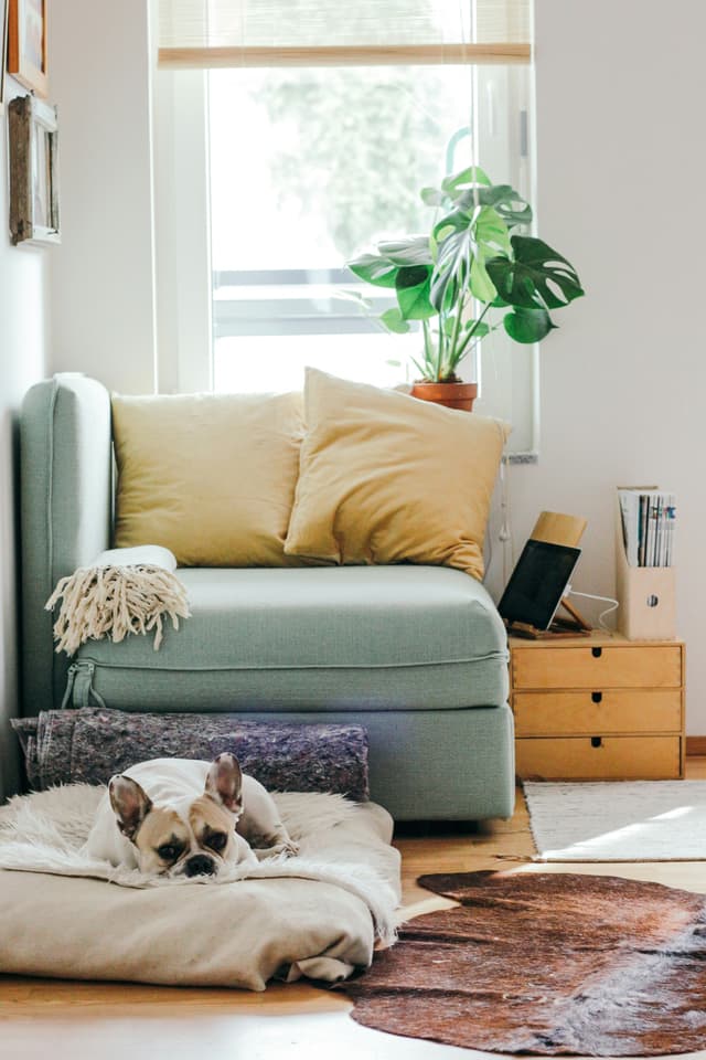 Secure home cleaning services